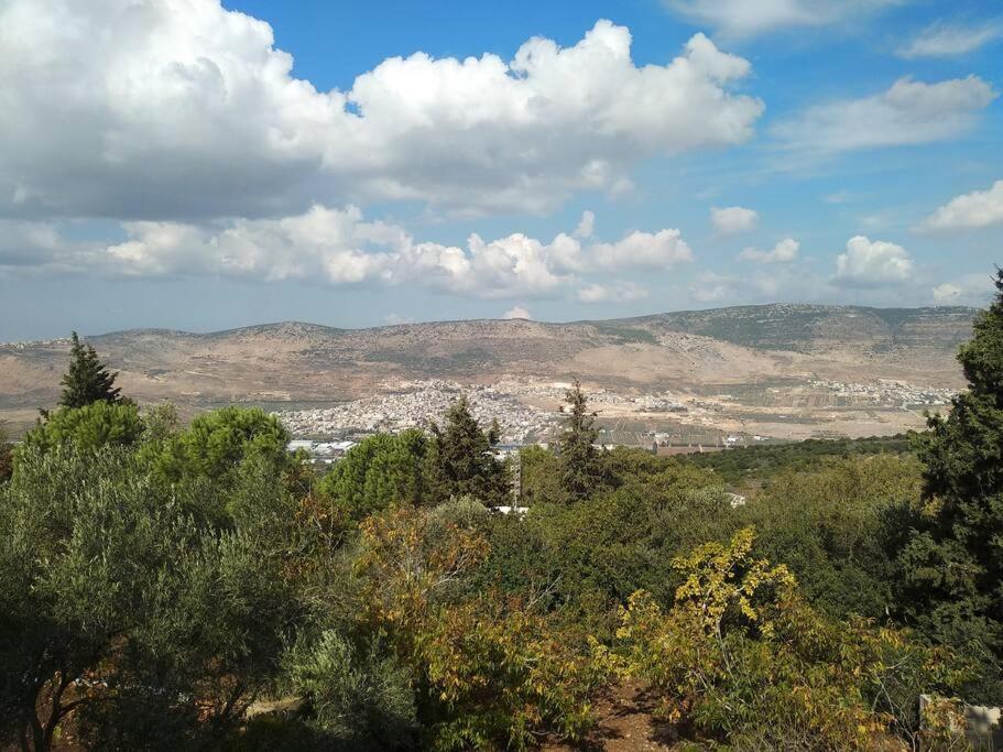 הבית ליד הבוסתן Apartment Mikhmannim Exterior photo